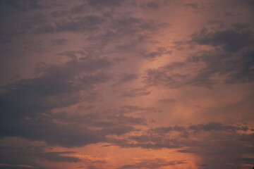 natural background of many species of plants that are laid out in the park, for the propagation of the species and to provide shade for those who stop by while traveling to study the ecology.