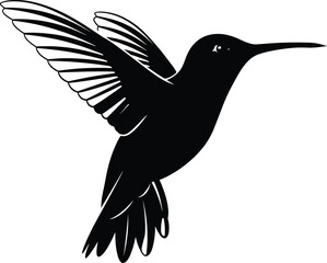 Black and white silhouette of a flying hummingbird with spread wings, elegant pose, detailed feathers, isolated on white background vector