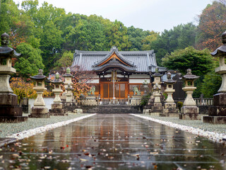 雨に濡れた神社の参道
