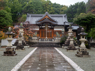 雨に濡れた神社の参道