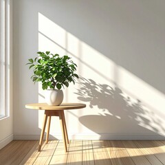 Bright room plant on table, sunlit wall and wood floor