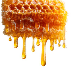 Closeup of dripping honey from a honeycomb  on white background.