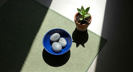 Still life composition with eggs, plant, and shadows on a mat.