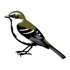 Acadian Flycatcher Bird