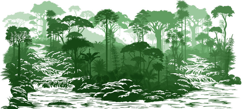 vector river in rainforest jungle	