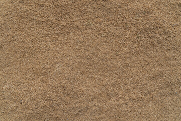 Close up top view of rice husks. Brown rice hulls texture for agriculture background, biomass fuel, or livestock bedding.