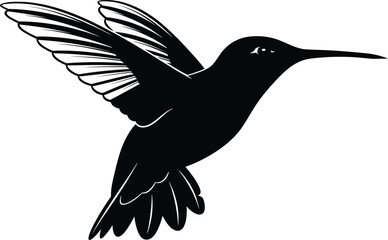 Black and white silhouette of flying hummingbird with spread wings, long beak, feather details, nature bird vector for decoration design