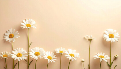 Delicate White Daisies with Yellow Centers Arranged in a Row Against a Soft Beige Background in Gentle Light