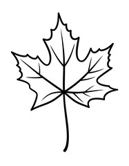 Detailed Maple Leaf Outline Illustration for Coloring and Educational Use.