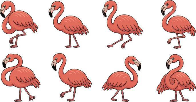 Stylized flamingo illustration set, pink and orange tropical birds, exotic wildlife art, decorative animal design, vibrant digital artwork, elegant flamingo poses, modern vector collection