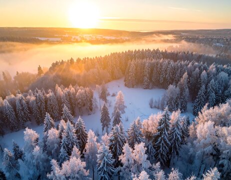 Aerial view of a sunlit winter forest covered in snow and mist