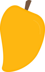 vector illustration of an orange fruit