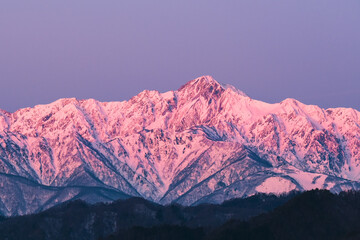 五竜岳　冬　モルゲンロート