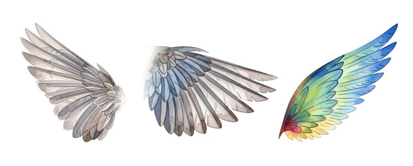 Obraz premium set of wing, png watercolor illustration on transparent background