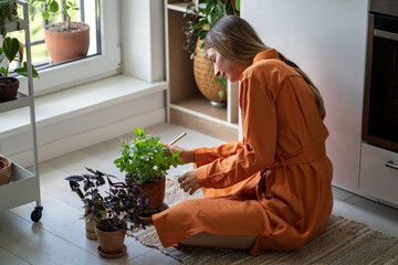 Attentive woman aerates earth in mint pot to enhance hydration, focused on root level. Home gardening preparation, plant repotting, soil maintenance, horticulturist cultivate, vegetative health care