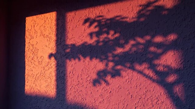 Wall Shines in Sunset Light, Casting Tree and Window Shadows with Warm Orange Hues on Textured Surface, Creating Dreamy and Artistic Ambiance For Adobe Stock