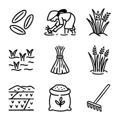 A set of doodle line icons showing rice farming stages including planting, growing, harvesting, paddy fields, rice grains, tools, and sacks