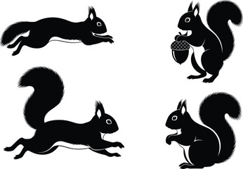Black squirrel silhouette vector illustration set, jumping running and sitting squirrels with acorn isolated on white background, forest wildlife animal design