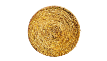 Round bale of golden straw, tightly rolled