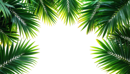 Palm leaves framing blank black space, bright sunny greens