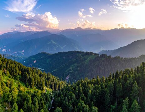 Mountain range with dense forest & golden sky at sunset