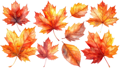 Autumn leaves, watercolor style, in orange, red, and yellow