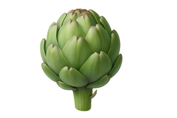 Fototapeta premium Fresh globe artichoke vegetable food, green raw organic healthy eating, isolated on transparent background