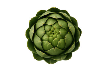 Obraz premium Fresh green artichoke edible vegetable, healthy eating and vegetarian food ingredient, top view with transparent background