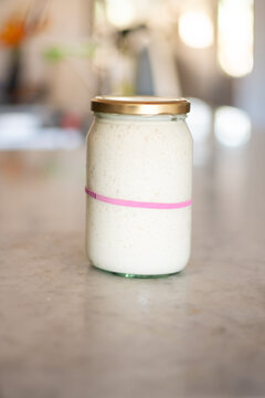 sourdough starter in a jar, it has doubled in size, the pink band marking the original amount