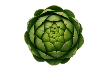 Fototapeta premium Fresh green artichoke vegetable top view, healthy raw food ingredient on transparent background, plant-based diet