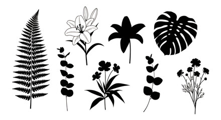 Elegant botanical line art set with ferns, lily, monstera and flora.