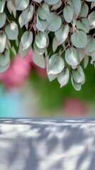 A soft focus background of pale green leaves hangs above a white surface with dappled light patterns.