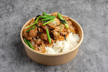 Japanese Chicken and Onion Donburi (Rice Bowl) in Takeaway Eco Bowl