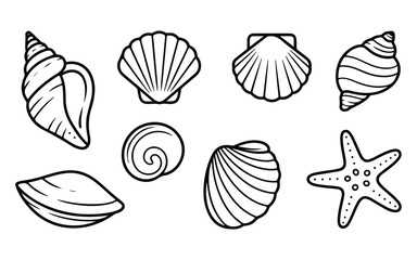 Collection of different seashells