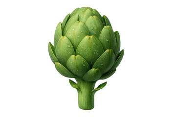 Obraz premium Fresh green artichoke with water drops, a healthy vegetarian vegetable ingredient, transparent background
