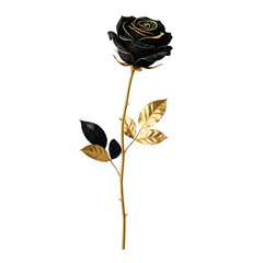 Elegant black rose with golden stem and leaves against a stark black background