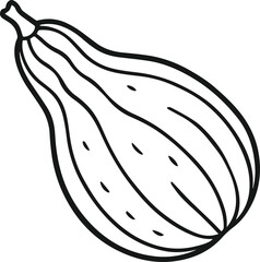 ridge gourd outline vector illustration line art