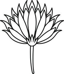 salsify outline vector illustration line art