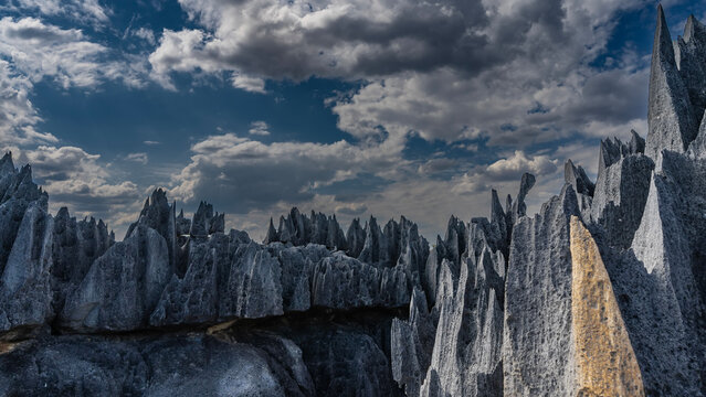 Unique karst rocks. Sharp spiky peaks against a background of blue sky and clouds. Steep furrowed slopes. Madagascar. Tsingy De Bemaraha 