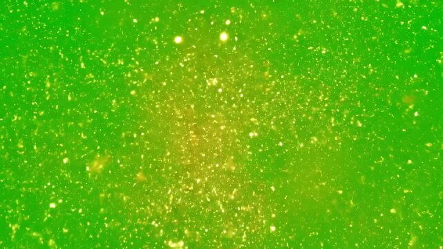 Golden Energy Burst with explosion expanding on a green screen background ideal for video editing visual effects motion graphics and creative projects that require touch of distortion, overlay