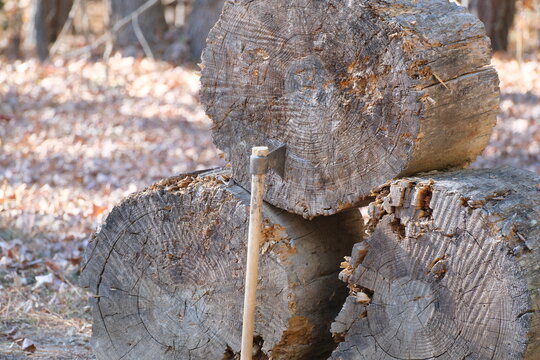 Tomahawk axe thrown at a log pile