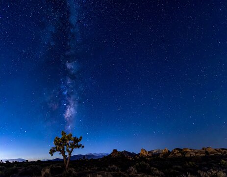 Vast starry night sky over desert landscape featuring a lone tree