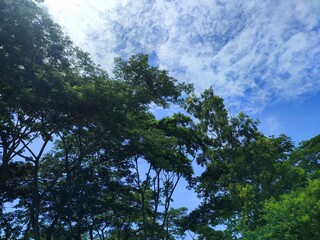 Beautiful Natural Blue Sky with Soft White Clouds on a Clear Sunny Day
