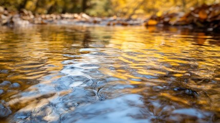 Obraz premium Shallow stream with golden autumn leaves