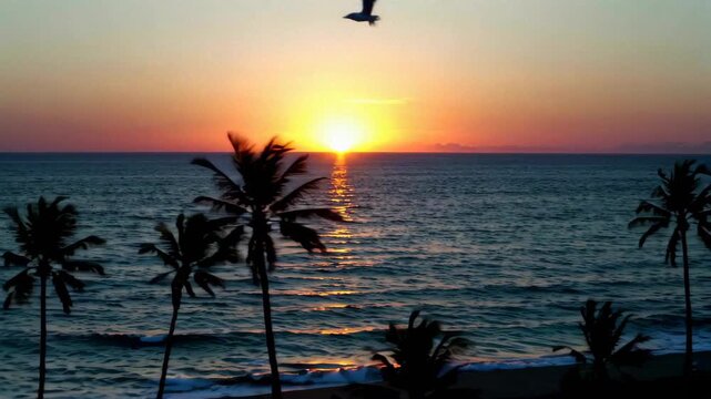 Sunset by the Sea Sea View with Palm Trees Sunset by the Sea Coconut Grove Birds