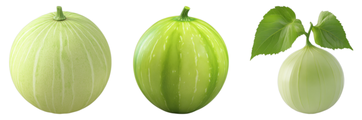 Ripe melons, showcasing their refreshing look and juicy appearance