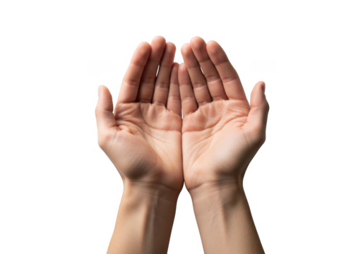 Two open hands cupped together isolated on transparent background - Powered by Adobe