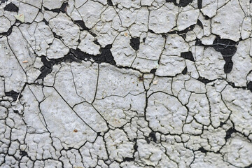 Abstract background of old cracked white paint peeling off dark surface. distressed and weathered texture showing signs of age, ruin, and decay on grungy wall