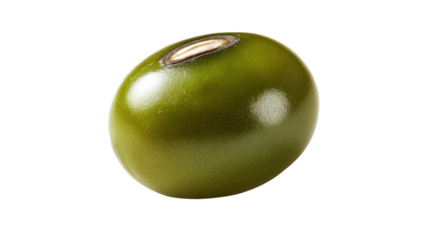 Single green mung bean shown in extreme detail isolated on a Transparent background, PNG file.