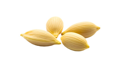 Close up of four cardamom pods on transparent background